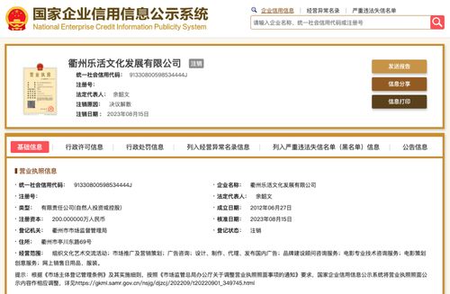 文化信息咨詢 連接傳統(tǒng)與現(xiàn)代的橋梁