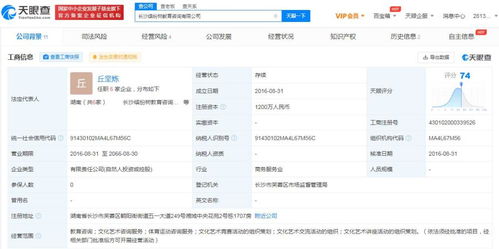 文化信息咨詢 連接傳統(tǒng)與現(xiàn)代的橋梁